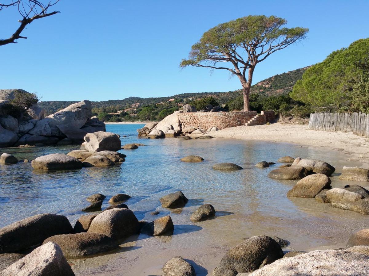 Residence Liccia Di Furu Porto-Vecchio  Dış mekan fotoğraf