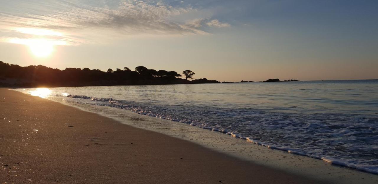 Residence Liccia Di Furu Porto-Vecchio  Dış mekan fotoğraf