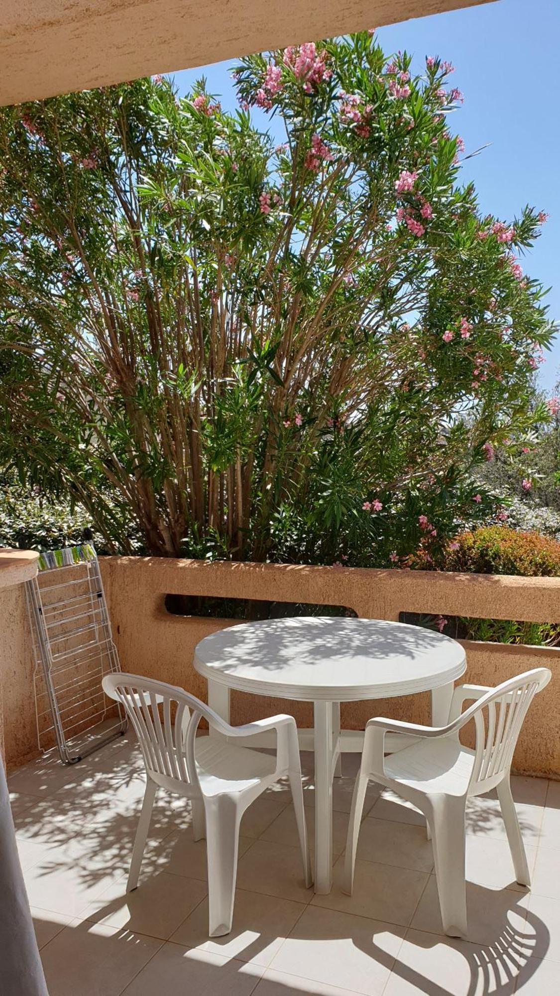 Residence Liccia Di Furu Porto-Vecchio  Oda fotoğraf