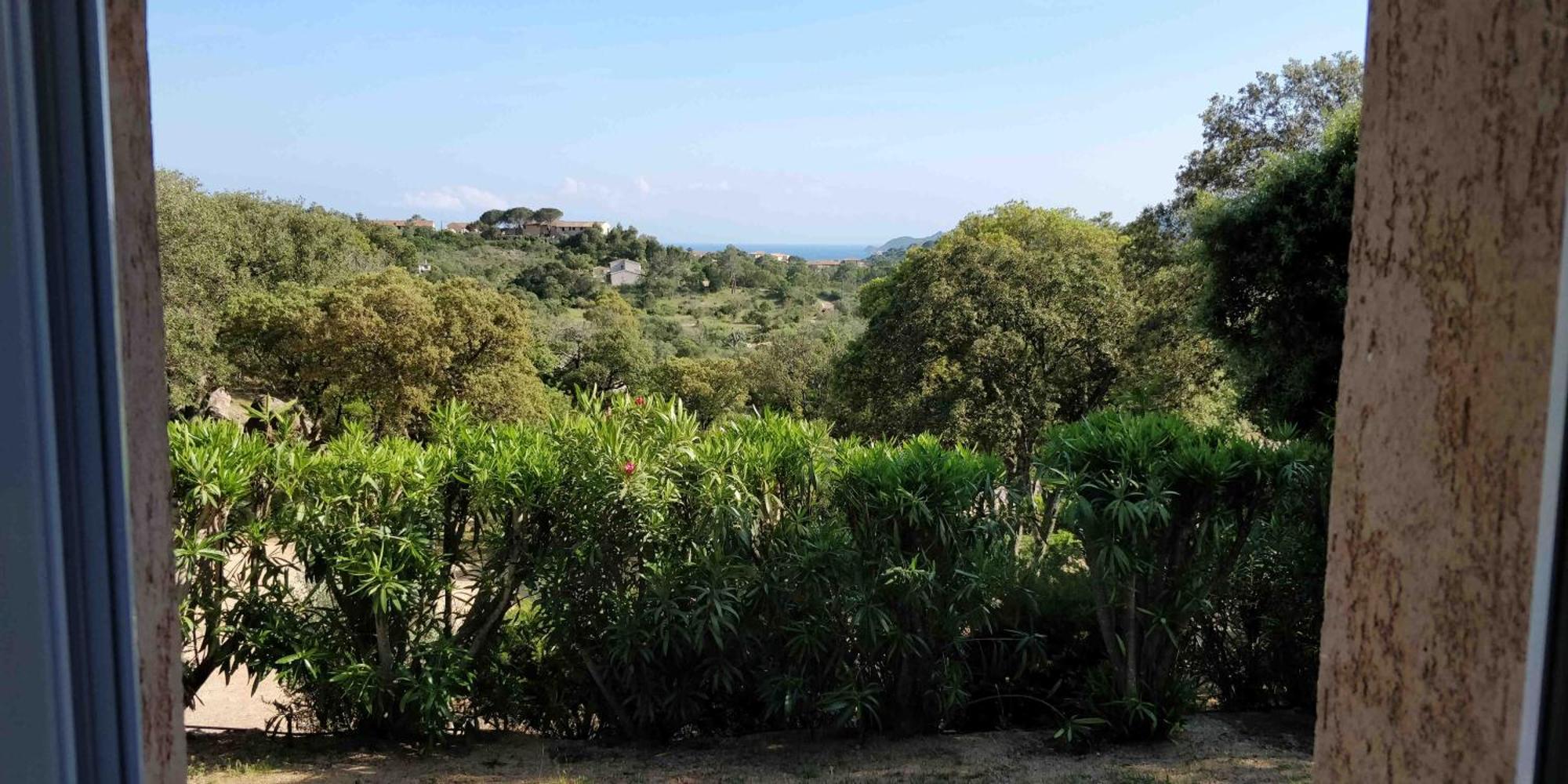 Residence Liccia Di Furu Porto-Vecchio  Oda fotoğraf